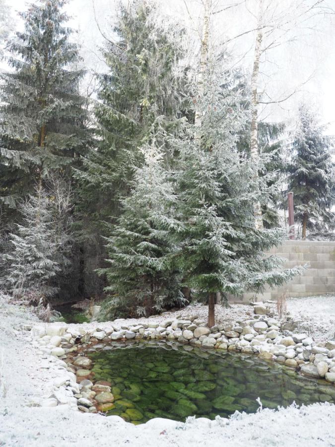 Ubytovanie&Restauracia Bodliak Ziar Bagian luar foto